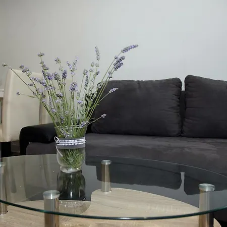 Puntamika Apartment *